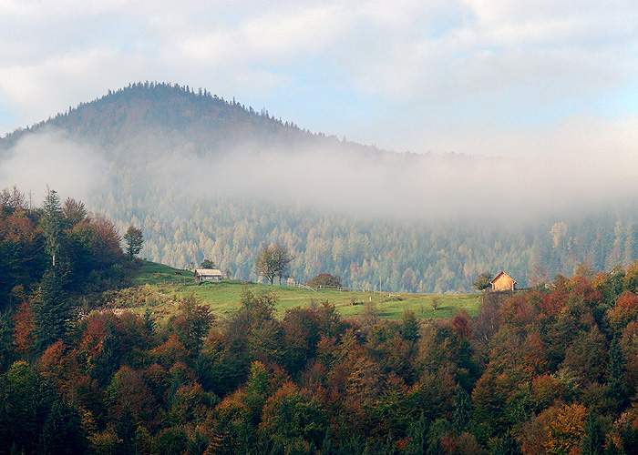 Карпаты