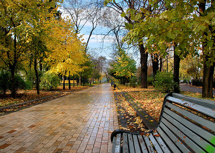 осень